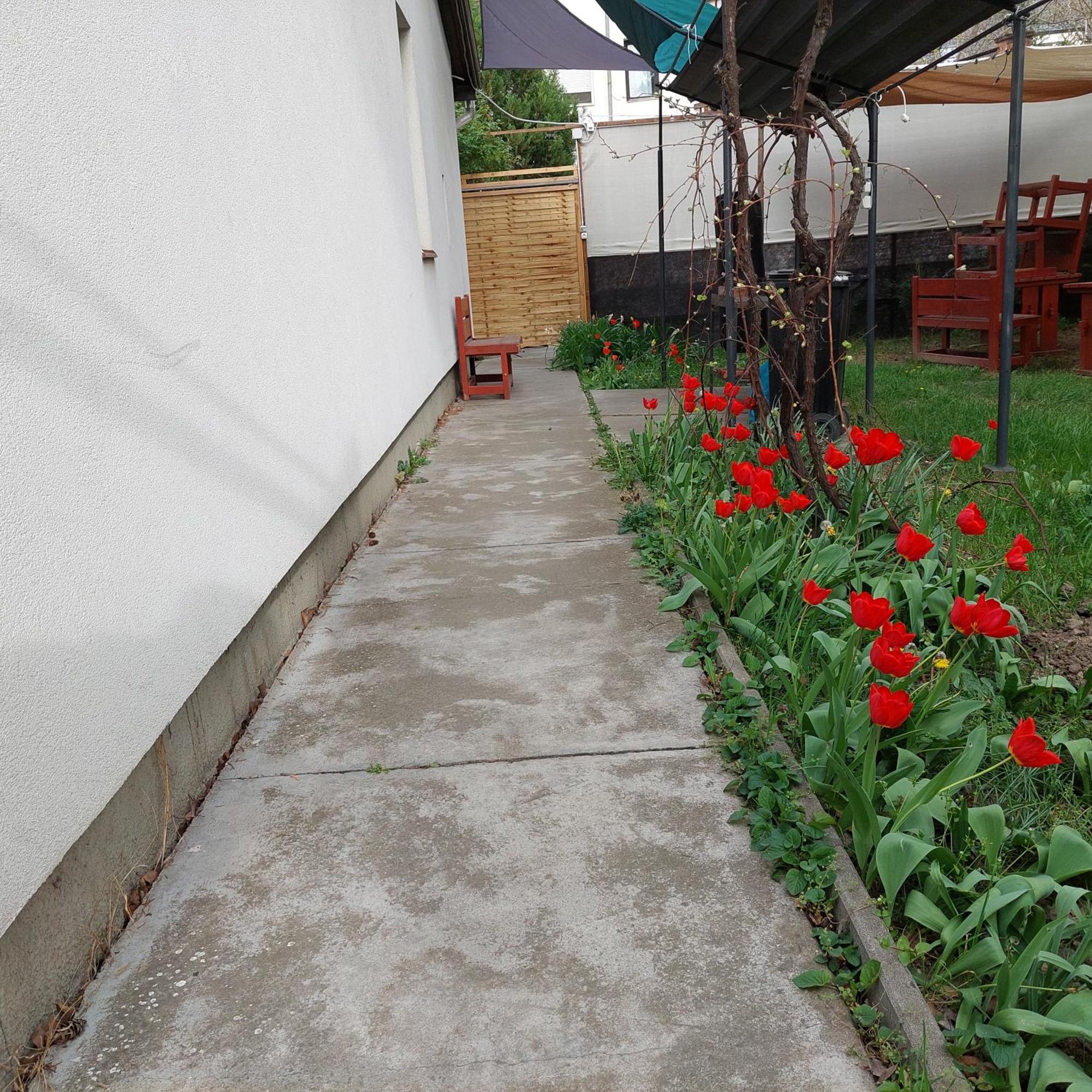 Ujszeged Apartman ภายนอก รูปภาพ